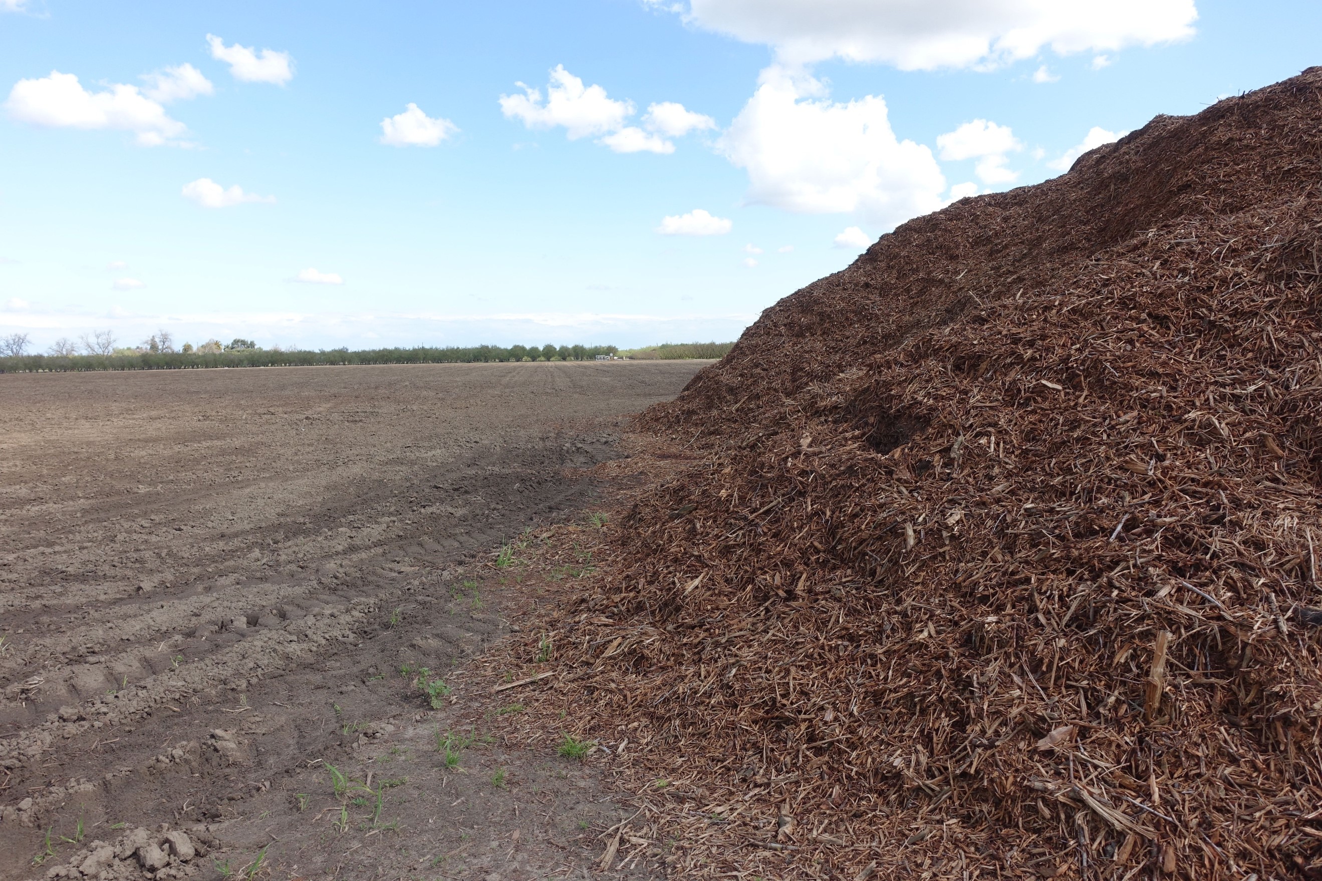 Pile of chips from a 35-acre block