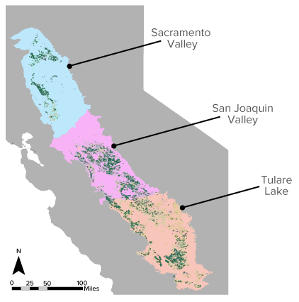 Map of key almond production regions investigated in the life cycle assessment
