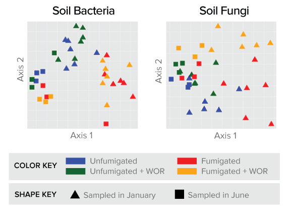 NMDS plot of soil microbes