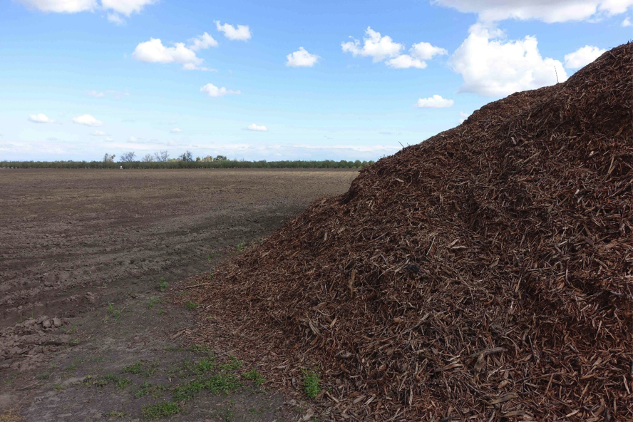 Wood chips on Carl Kruppa's farm.