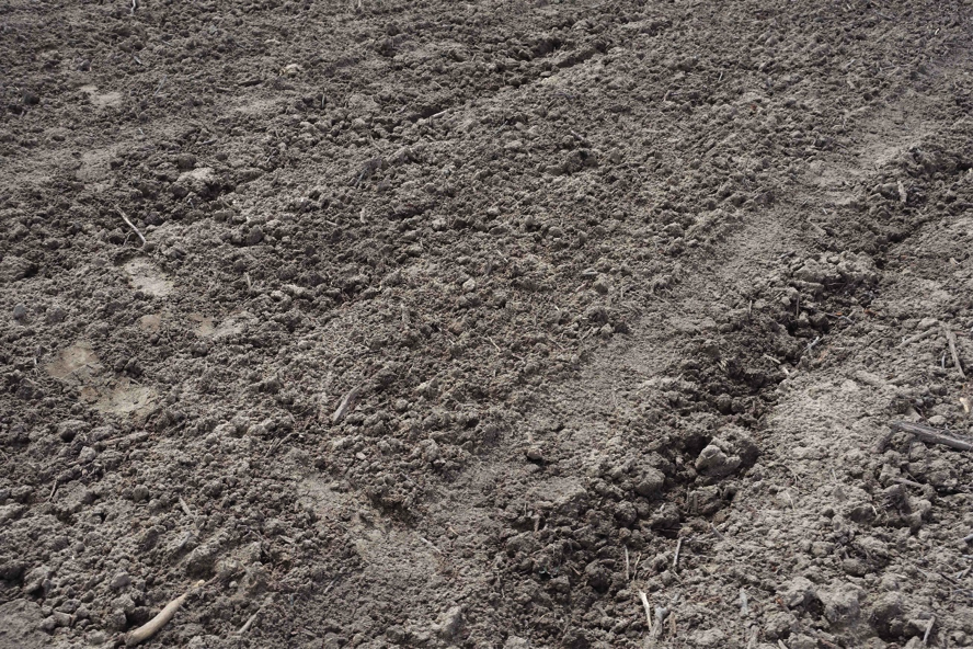 Chips incorporated into soil at Kruppa's farm.