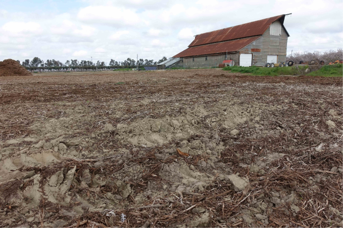 Wood chips awaiting incorporation