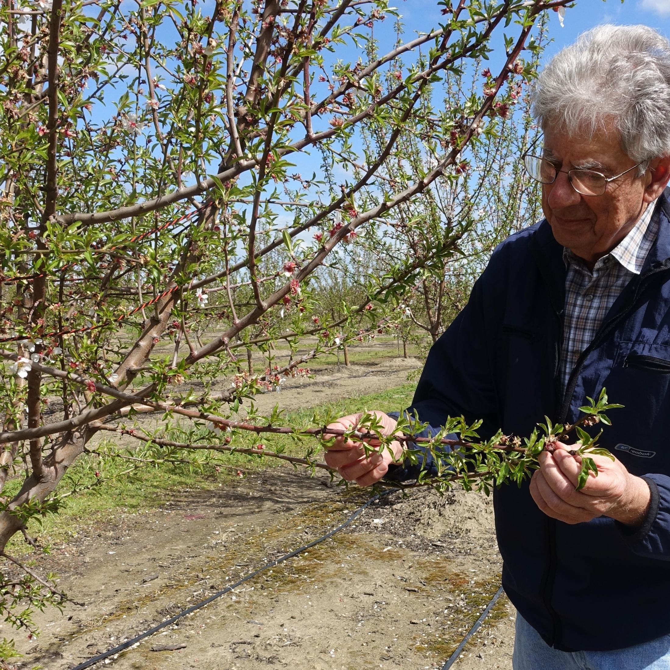 Nutrient Management